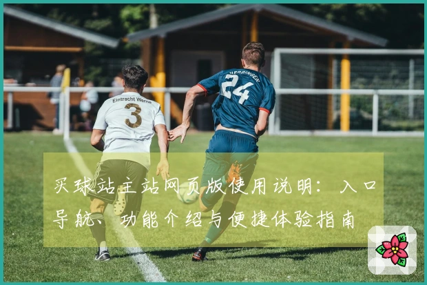 买球站主站网页版使用说明：入口导航、功能介绍与便捷体验指南