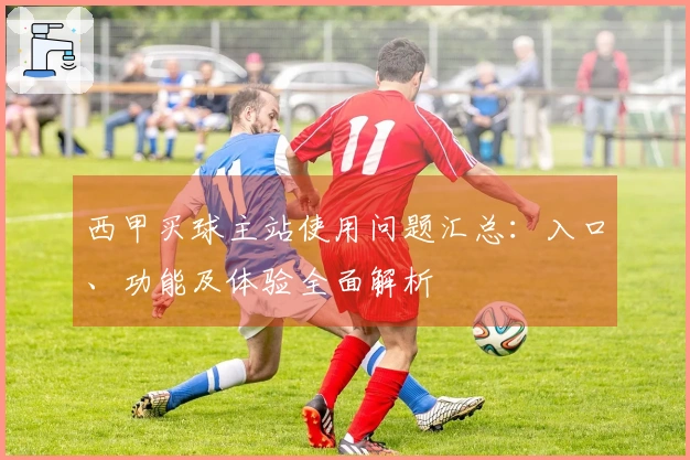 西甲买球主站使用问题汇总：入口、功能及体验全面解析