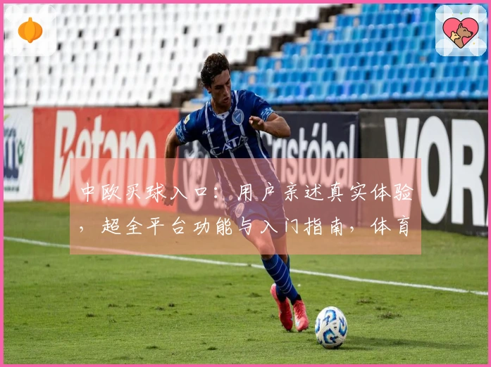 中欧买球入口：用户亲述真实体验，超全平台功能与入门指南，体育迷必备！
